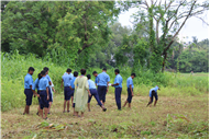 Greening Our Campus: A Seed Sowing Initiative