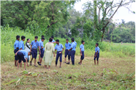Greening Our Campus: A Seed Sowing Initiative