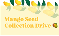 🌱 Mango Seed Collection Drive – Season 2 🌱