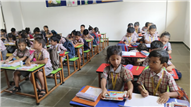 Diwali Celebration Activity (Pre primary)