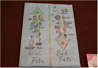 Special Assembly on Balanced Diet