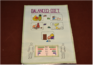 Special Assembly on Balanced Diet