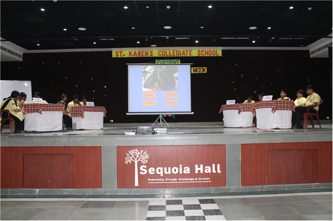 VAN MAHOTSAV QUIZ COMPETITION