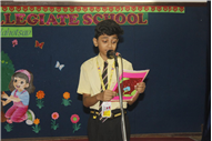 Van Mahotsav: Celebrating the Spirit of Tree Plantation