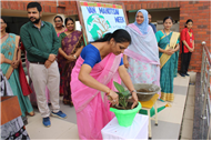 Van Mahotsav: Celebrating the Spirit of Tree Plantation