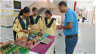 NUKKAD NATAK AND SOCIAL SCIENCE PRESENTATION