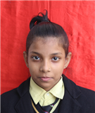sneha