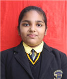 navya