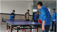 Sports Week