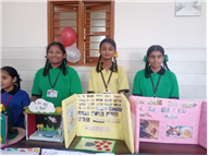 Lingua Fiesta