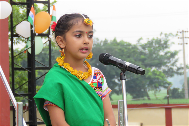 Independence  Day Celebration
