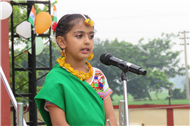 Independence  Day Celebration