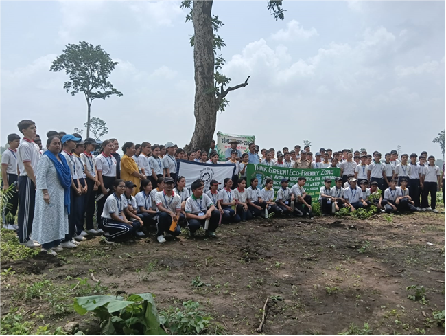 TREE PLANTATION DRIVE
