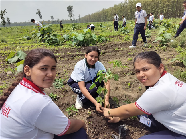 TREE PLANTATION DRIVE