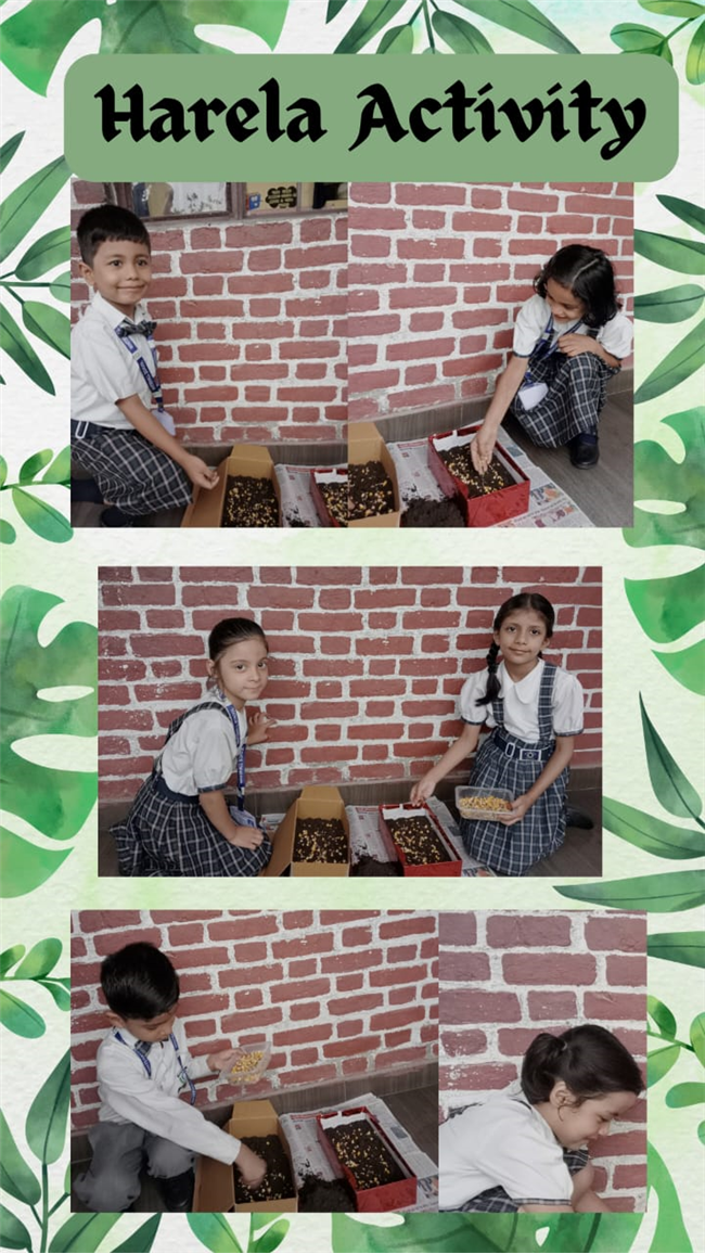 Harela Activity