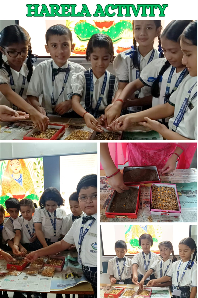 Harela Activity