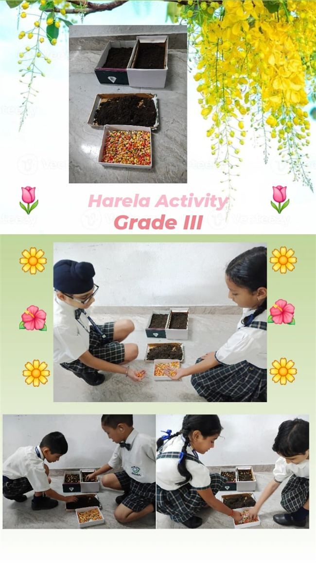 Harela Activity