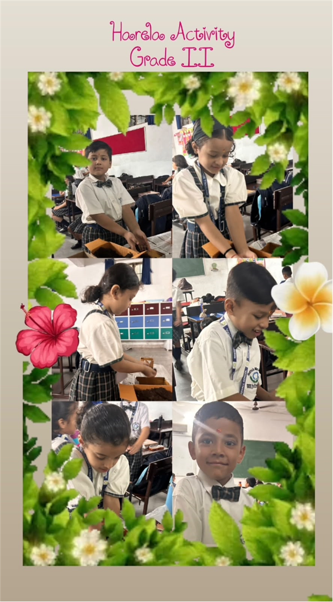 Harela Activity
