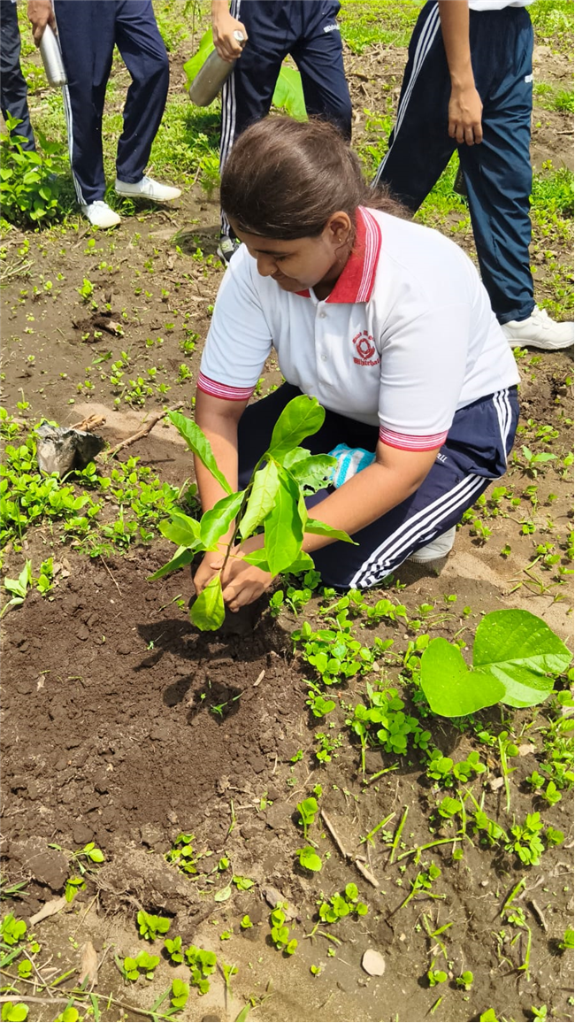 TREE PLANTATION DRIVE