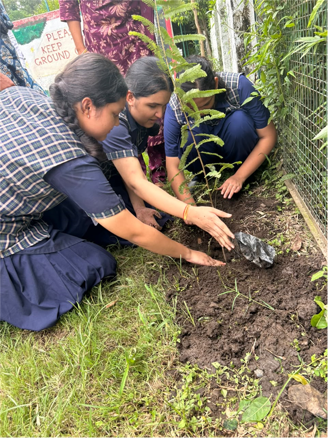 Van Mahotsav at Whitehall School