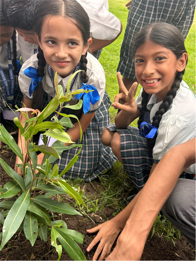 Van Mahotsav at Whitehall School