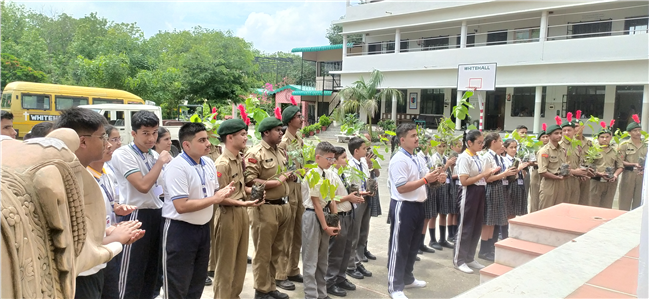 Van Mahotsav at Whitehall School