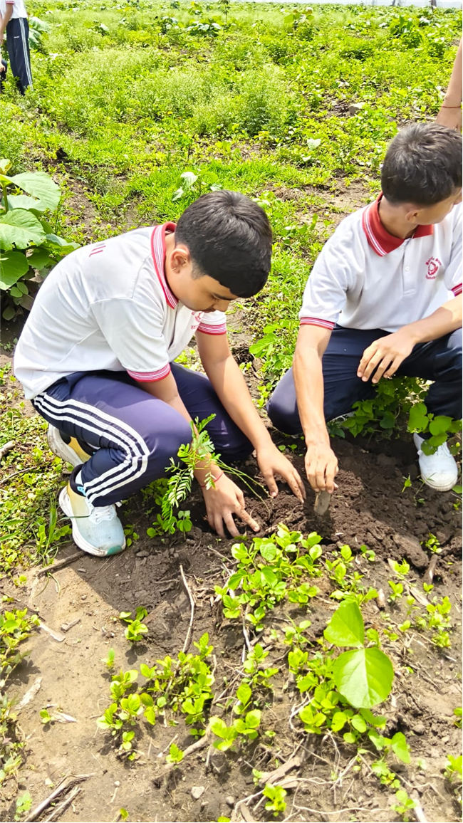 TREE PLANTATION DRIVE