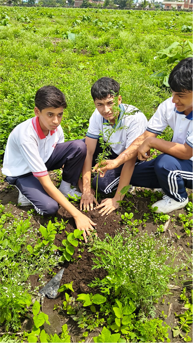 TREE PLANTATION DRIVE