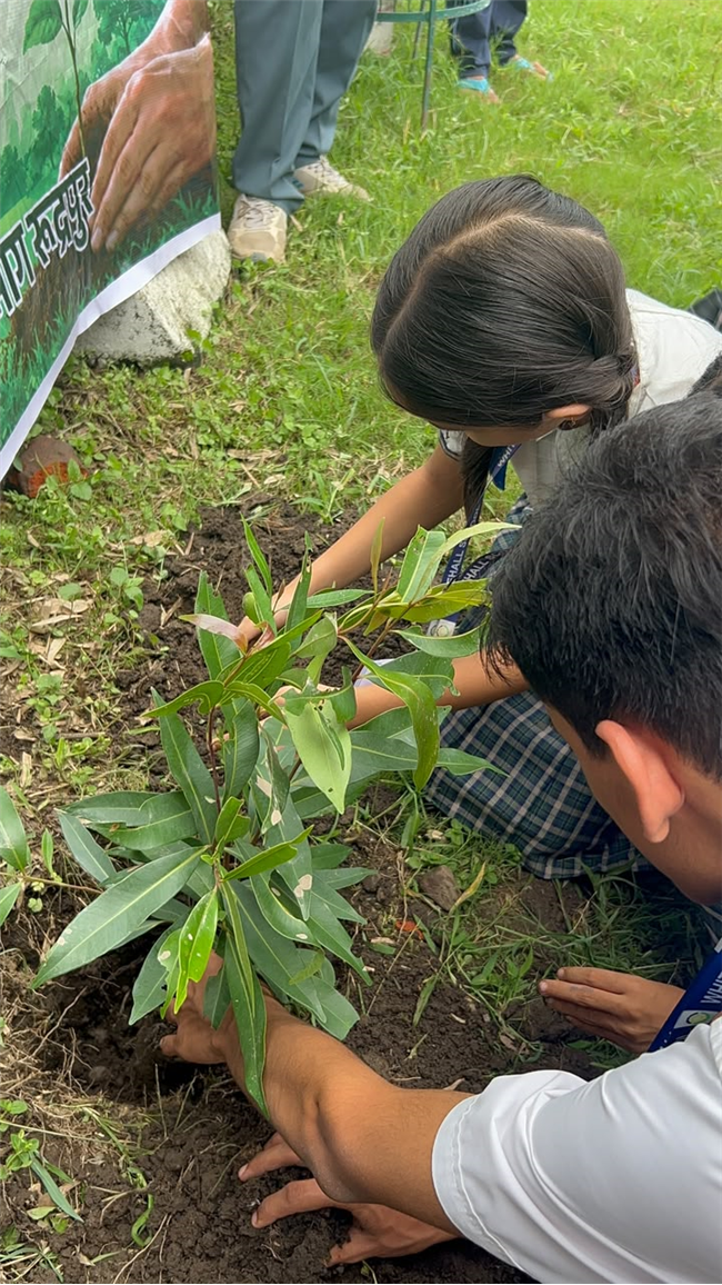Van Mahotsav at Whitehall School