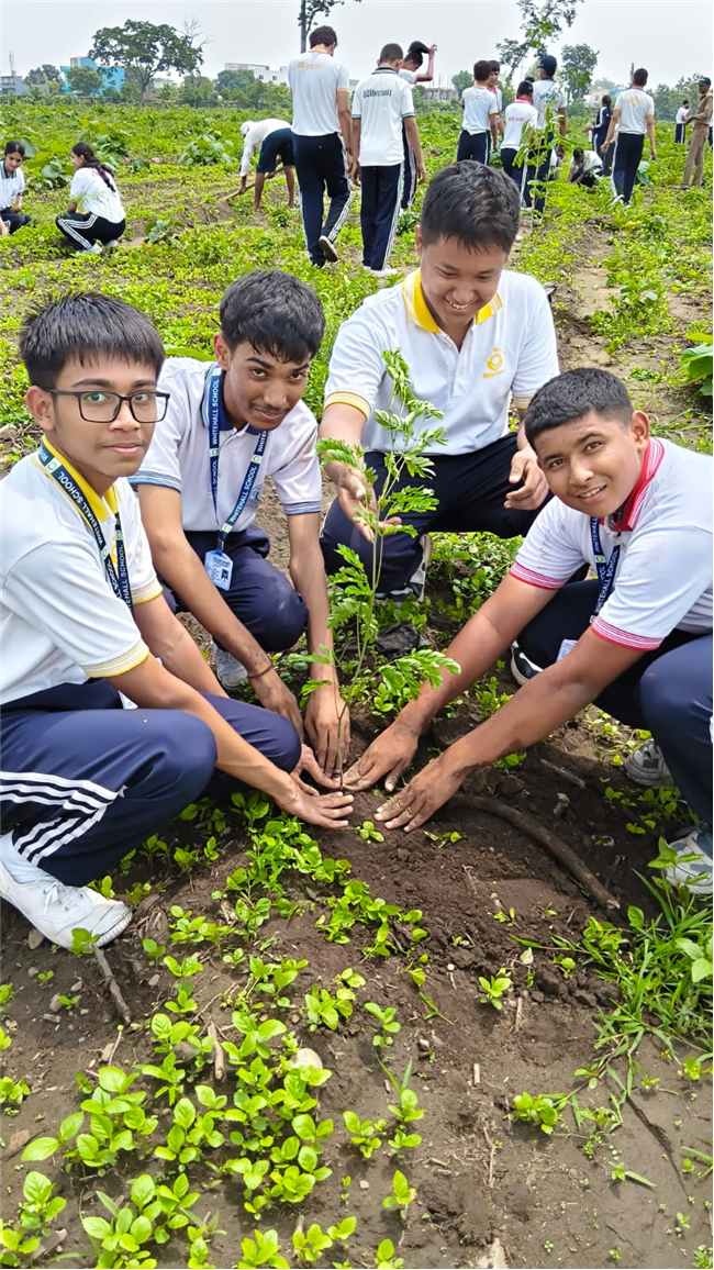 TREE PLANTATION DRIVE