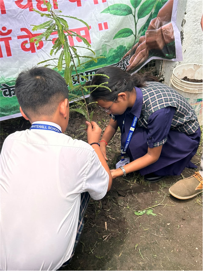 Van Mahotsav at Whitehall School