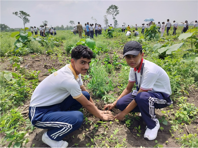 TREE PLANTATION DRIVE