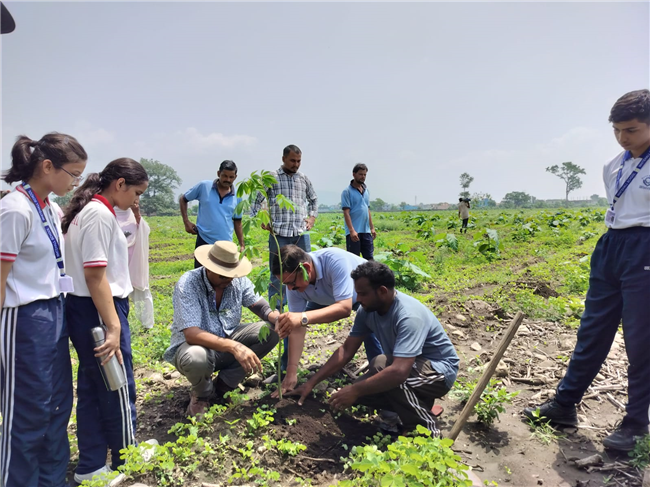 TREE PLANTATION DRIVE