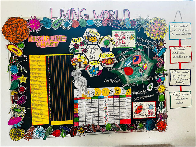 Board Decoration Competition