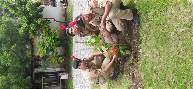 Van Mahotsav at Whitehall School