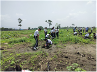 TREE PLANTATION DRIVE
