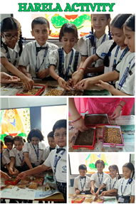 Harela Activity