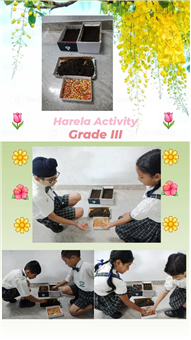 Harela Activity