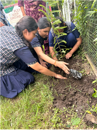 Van Mahotsav at Whitehall School