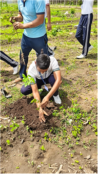 TREE PLANTATION DRIVE