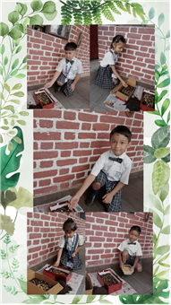 Harela Activity
