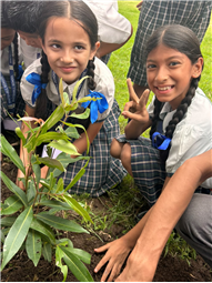 Van Mahotsav at Whitehall School