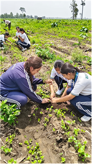 TREE PLANTATION DRIVE