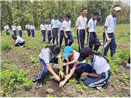 TREE PLANTATION DRIVE
