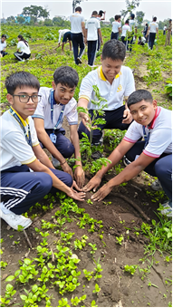 TREE PLANTATION DRIVE