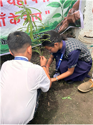 Van Mahotsav at Whitehall School