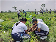 TREE PLANTATION DRIVE
