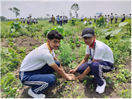 TREE PLANTATION DRIVE
