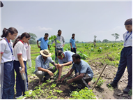 TREE PLANTATION DRIVE
