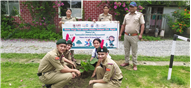 Van Mahotsav at Whitehall School